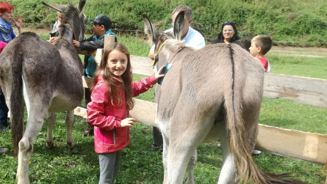 Al Ranch Degli Asinelli Che Meraviglia Il Trentino Dei Bambini