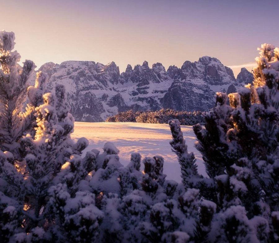 Cosa Fare D’inverno In Paganella - Il Trentino Dei Bambini