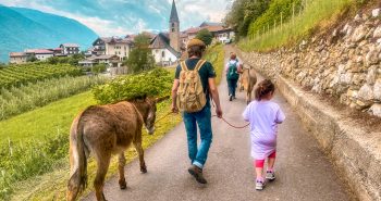 I trekking a Ritmo d'Asino orgamizzati dall'Agritur Solasna sono adatti un po' a tutti e si svolgono lungo l'antica via romana a Caldes, in Val di Sole.