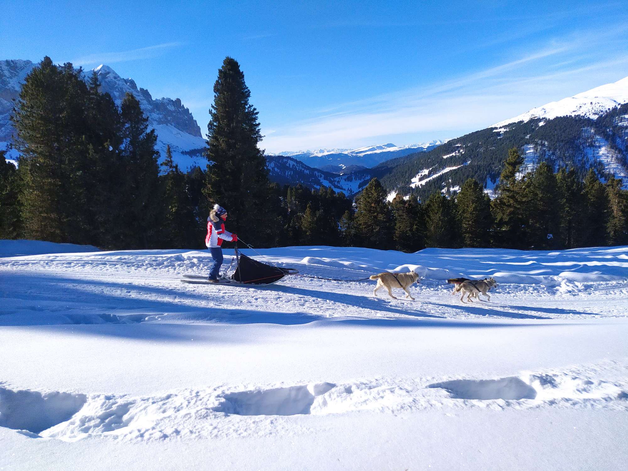 Una delle esperienze più suggestive da fare in inverno è lo sleddog ai piedi del maestoso Sass de Putia, a cavallo tra Val Badia e Val di Funes