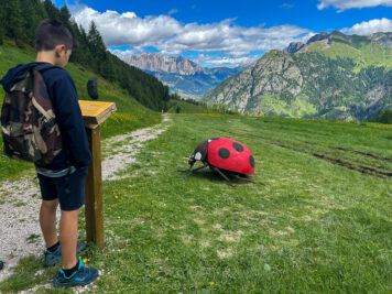 Sei mai stato sull'Alpe Lusia? La novità 2024 è il Sentiero degli Animali