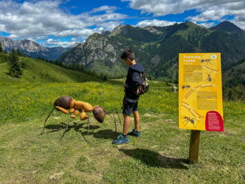 Tanti gli animali che da minuscoli diventano enormi: li incontrerai lungo il nuovo Sentiero degli Animali sull'Alpe Lusia
