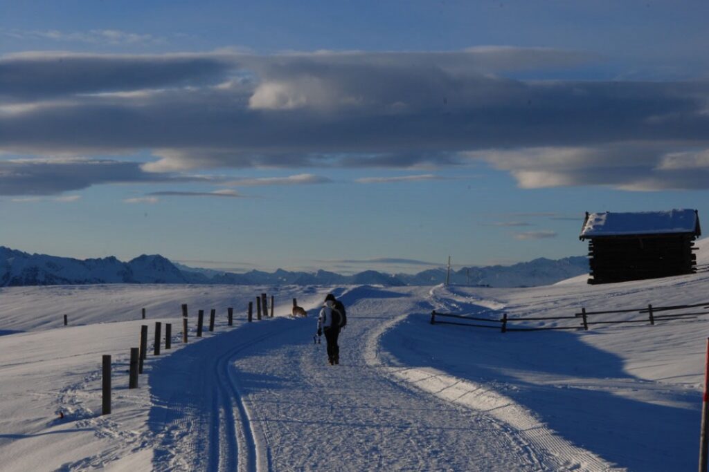 L'Alpe di ROdengo si raggiunge facilmente dal Residence Obermoarhof di Vandoies ed è perfetta per le camminate sulla neve in famiglia.