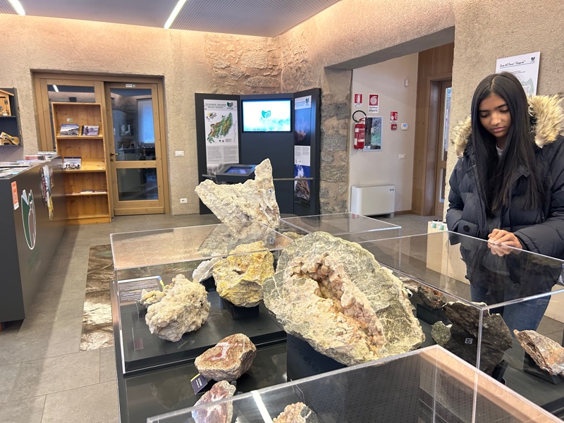 Esposizione di rocce rinvenute sul suolo trentino alla Casa del Parco Geopark